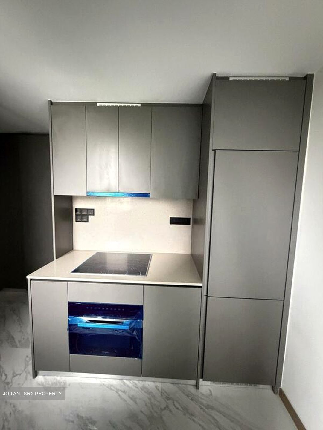 The Landmark (D3), Condominium #515699921